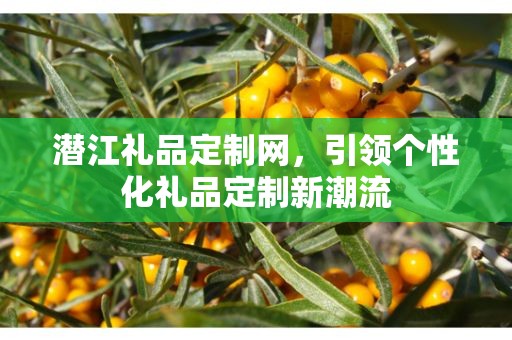 潜江礼品定制网，引领个性化礼品定制新潮流